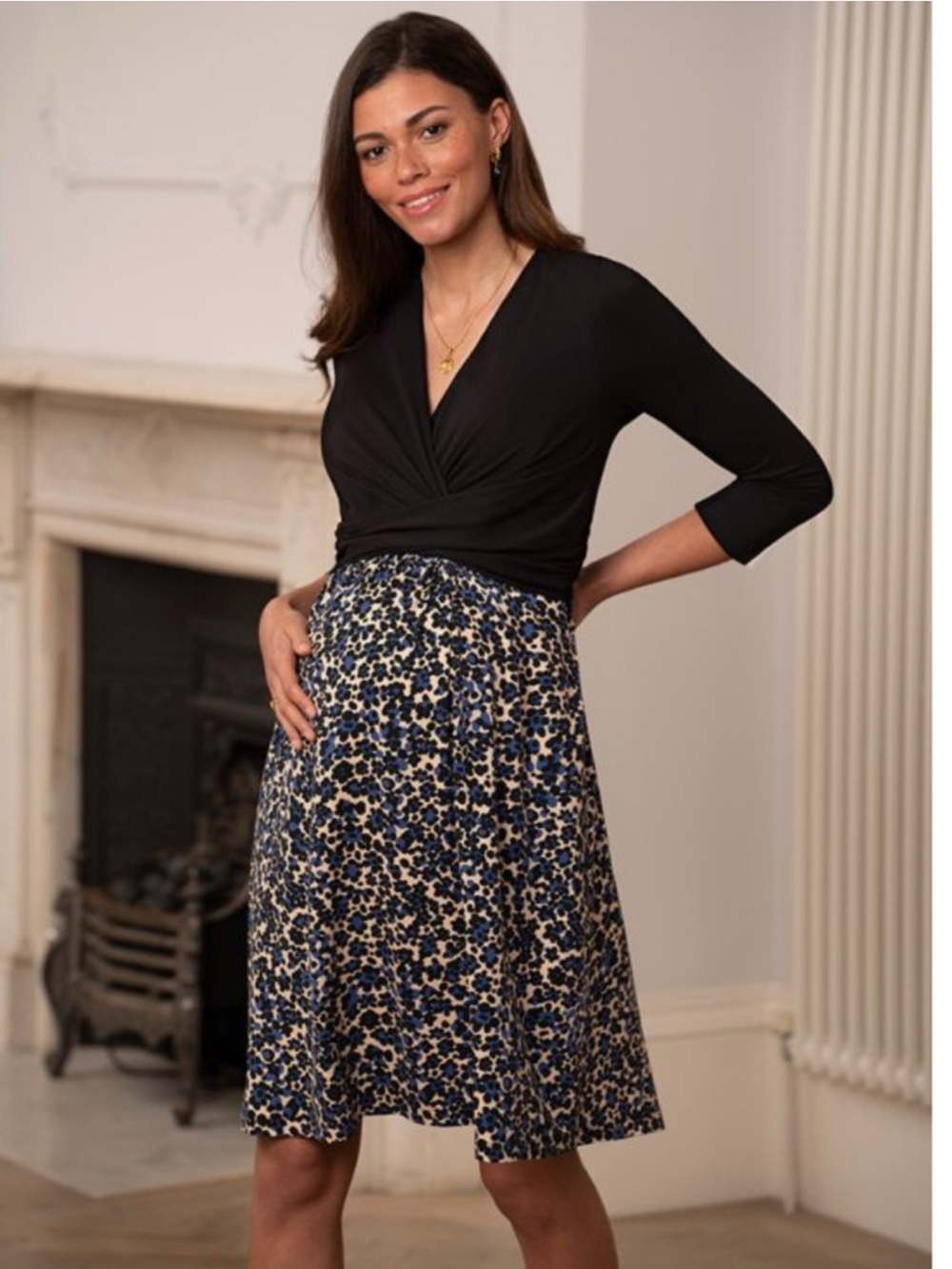 Seraphine EUC maternity/nursing dress
